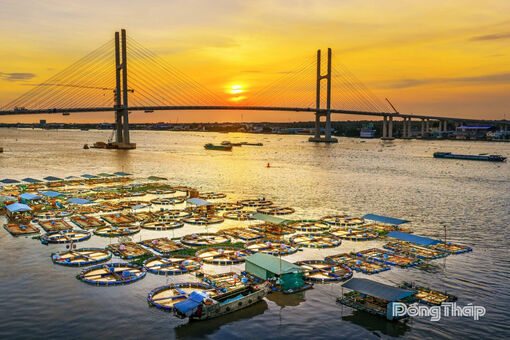Photo Story: Nét đẹp miền sông nước qua ống kính nghệ sĩ Đồng Tháp