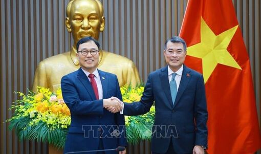 Thủ tướng tiếp Đại sứ Hàn Quốc Choi Young Sam đến chào từ biệt