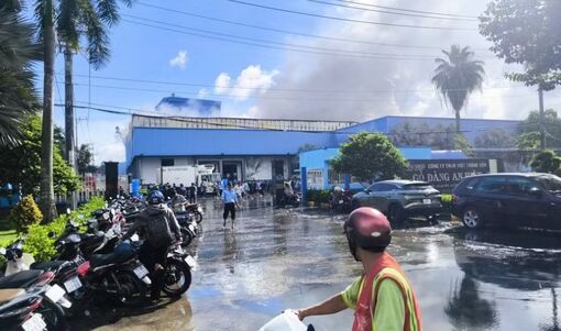 Vĩnh Long: Cháy lớn tại công ty chế biến thủy sản trong khu công nghiệp An Hiệp