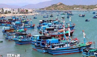 Từ ngày 18/8, vi phạm trong lĩnh vực thủy sản có thể bị phạt tới 2 tỷ đồng