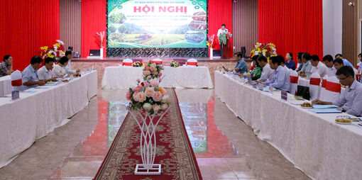 An Giang xây dựng lộ trình chuyển đổi hiệu quả cơ cấu cây trồng trên đất lúa