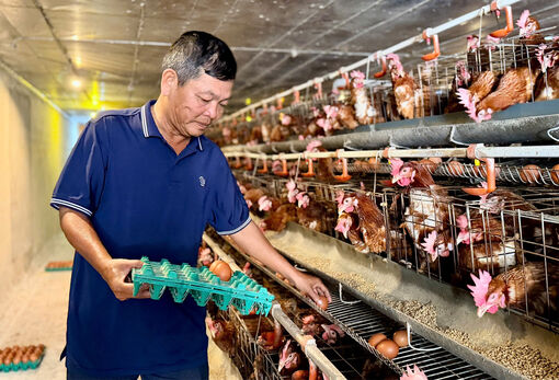 Làm giàu từ chăn nuôi công nghệ cao
