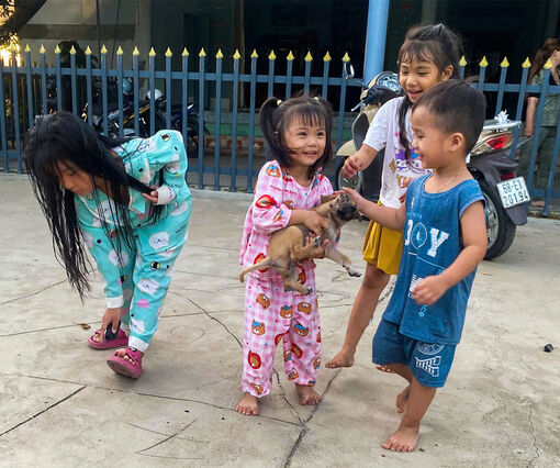 Mùa hè của trẻ vùng nông thôn