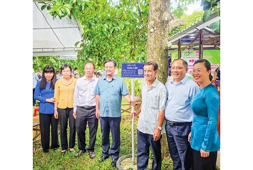 Phát huy hiệu quả vườn cây măng cụt