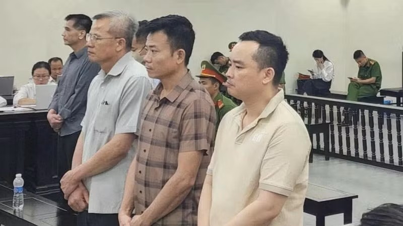 Cựu Chủ tịch Công ty Nam Triệu bị tuyên mức án 29 năm tù