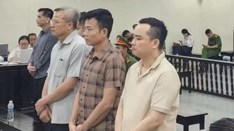 Cựu Chủ tịch Công ty Nam Triệu bị tuyên mức án 29 năm tù
