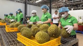 Xây dựng nền tảng dữ liệu thống nhất cho nông nghiệp