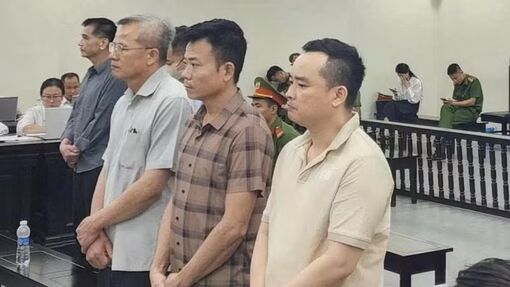 Cựu Chủ tịch Công ty Nam Triệu bị tuyên mức án 29 năm tù