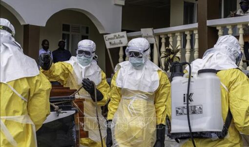 Dịch Ebola: Châu Phi thiết lập cơ chế điều phối chung