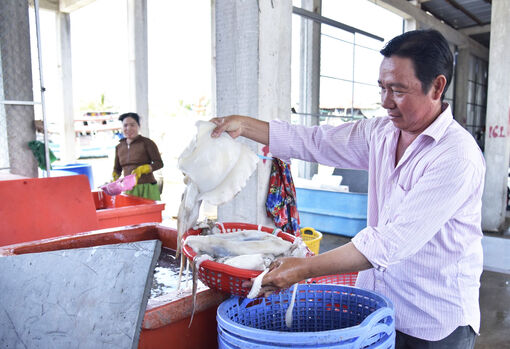 Khi ngư dân chuyển hướng để giữ nghề