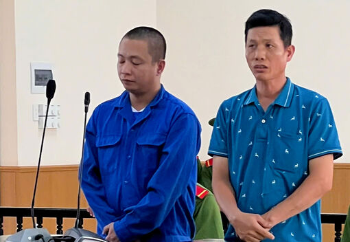 Trộm cắp quen tay