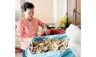 Giải bài toán già hóa dân số ở nông thôn