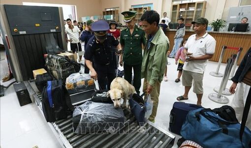 Xử lý gần 20.000 vụ buôn lậu, hàng giả trong 6 tháng đầu năm
