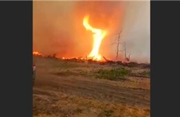 Ukraine công bố video lốc xoáy lửa tại khu vực cấm Chernobyl