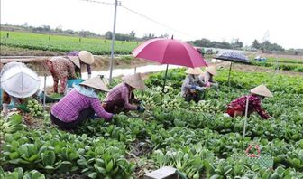 Hơn 51.000 lượt hộ nghèo được vay vốn tín dụng chính sách