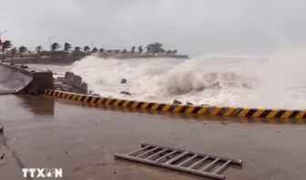 Siêu bão BAVI có thể gây gió mạnh trên Biển Đông vào cuối tuần