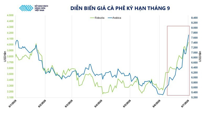 Giá cà phê lập đỉnh nhiều tháng do lo ngại El Nino