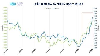 Giá cà phê lập đỉnh nhiều tháng do lo ngại El Nino