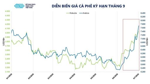 Giá cà phê lập đỉnh nhiều tháng do lo ngại El Nino