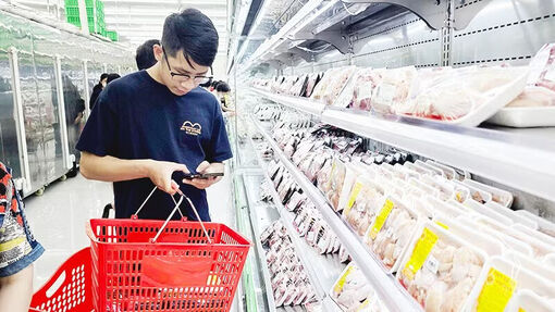“Làn sóng” độc thân trong xã hội