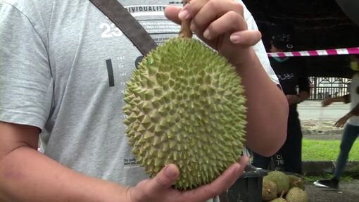 Malaysia  đưa sầu riêng thành biểu tượng văn hóa