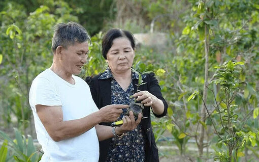 Những chính sách nhân văn chăm lo đời sống người cao tuổi