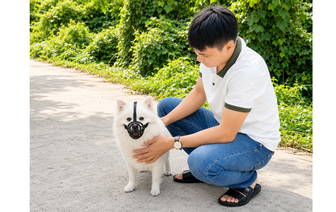 Quy định mới siết quản lý chó thả rông