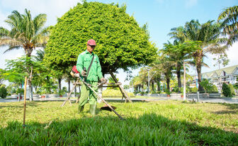 Từ nghị quyết đến hành động ở Rạch Giá