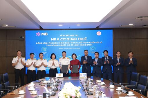 An Giang: Hỗ trợ hộ kinh doanh, doanh nghiệp nhỏ thích ứng với quản lý thuế điện tử