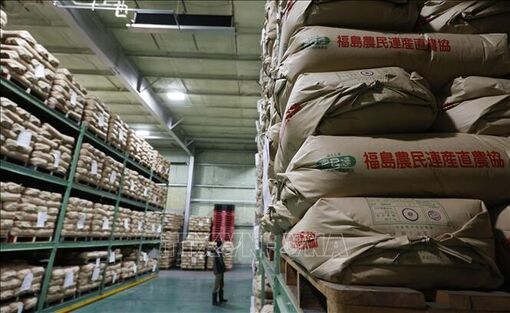 Nhật Bản siết chặt quy định dự trữ gạo