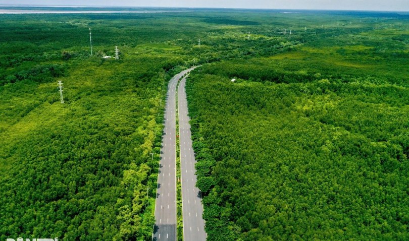 TPHCM miễn phí vé xe buýt: Gợi ý 5 hành trình khám phá loạt điểm đến thú vị