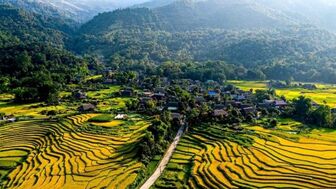 Hà Giang tháng 8 có gì đẹp? Gợi ý hành trình mùa xanh cùng HaGiangGo