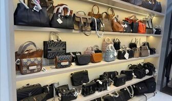 Phát hiện gần 1.300 vụ vi phạm sở hữu trí tuệ