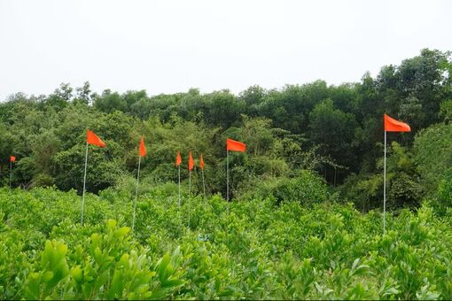 Chiến dịch 500 ngày đêm: Thêm căn cứ tìm kiếm hài cốt liệt sỹ ở Quảng Trị