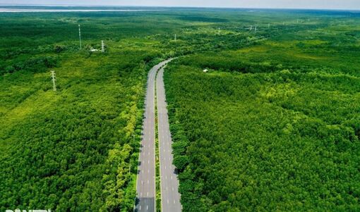 TPHCM miễn phí vé xe buýt: Gợi ý 5 hành trình khám phá loạt điểm đến thú vị