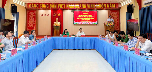 Đảng bộ xã Cô Tô thực hiện đạt và vượt 14/19 chỉ tiêu so tiến độ 6 tháng