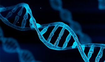 Các nhà khoa học Israel phát hiện manh mối mới về nguồn gốc sự sống