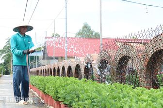 Nông dân An Châu sản xuất nông nghiệp công nghệ cao