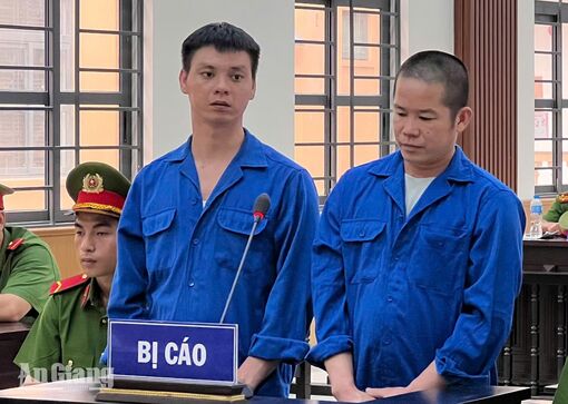 Đưa người qua biên giới, rước họa vào thân