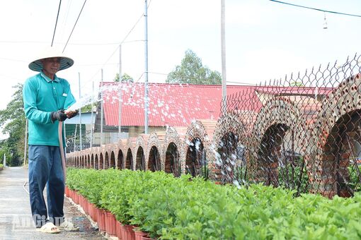 Nông dân An Châu sản xuất nông nghiệp công nghệ cao
