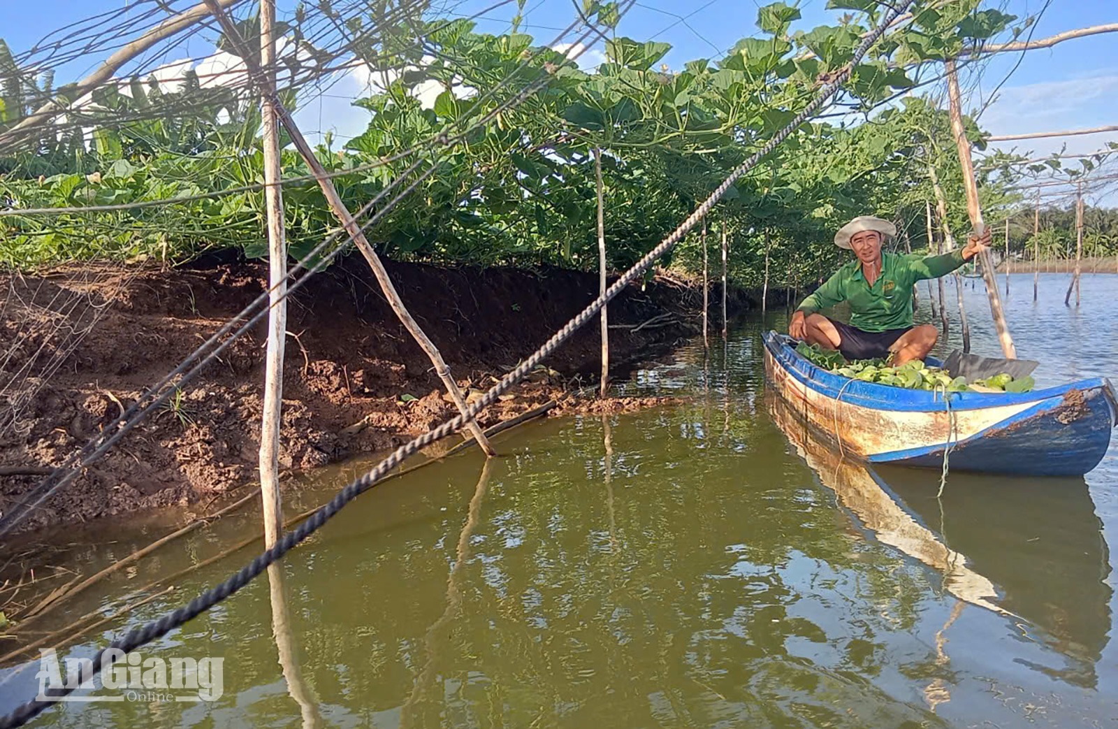Đa dạng cây trồng ở Vàm Rầy