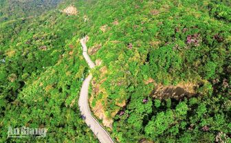 Nhịp sống Bảy Núi mùa mưa