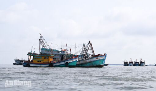 An Giang ứng phó mưa lớn, gió mạnh trên biển