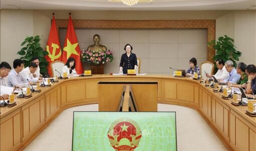 Phó Thủ tướng Chính phủ Phạm Thị Thanh Trà: Tiếp tục công phá các cơ sở vi phạm an toàn thực phẩm