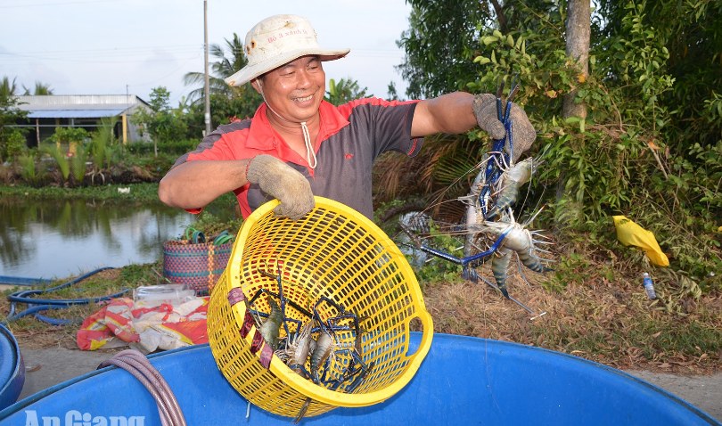 Tiếp tục nâng cao giá trị nông sản