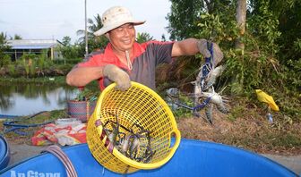 Tiếp tục nâng cao giá trị nông sản
