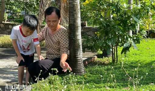 Đợi con cuối tuần