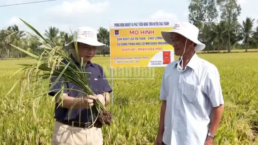 Giúp nông dân yên tâm sản xuất, làm giàu từ nông nghiệp