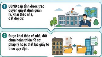 [Infographic] Chính phủ ban hành cơ chế đặc thù đẩy nhanh khai thác nhà, đất dôi dư