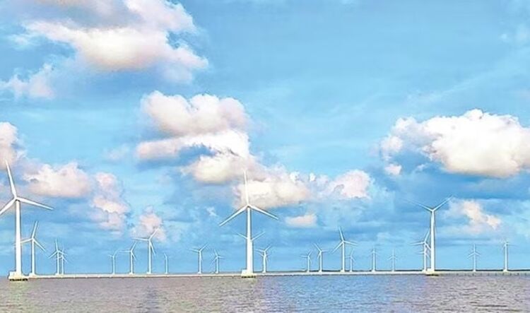 Tự tin vươn ra biển lớn